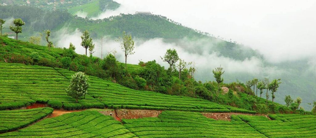 Coonoor Hill Station Ooty