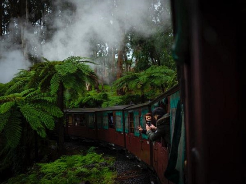 Rail view in Nilgiri mountain Ooty