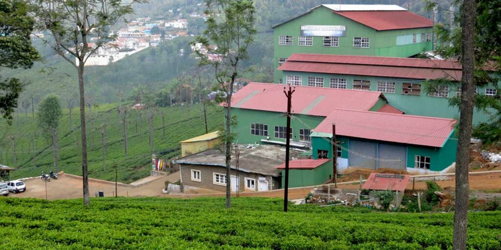 Tea Museum and Tea Factory Ooty