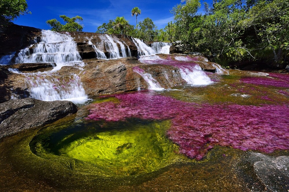 Cano Cristales, Colombia