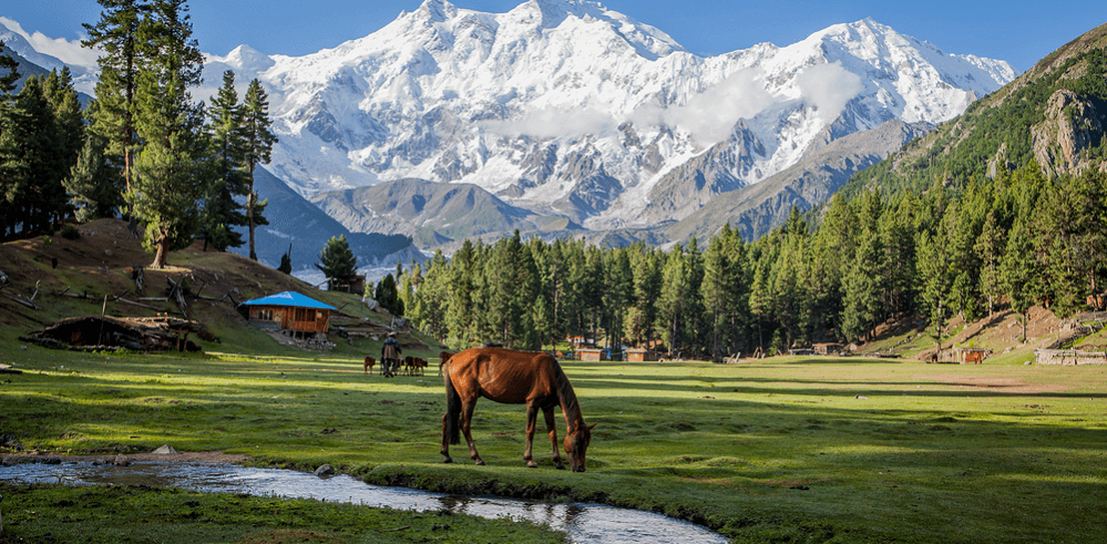 Fairy Meadows National Park, Pakistan