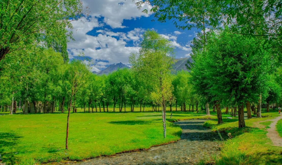Yasin valley water