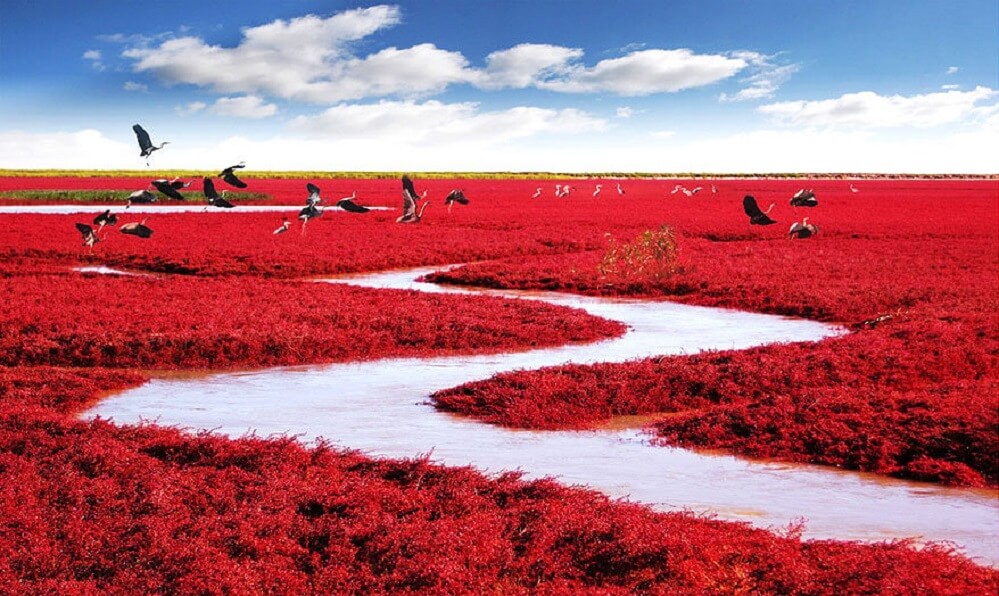 Red Beach - China