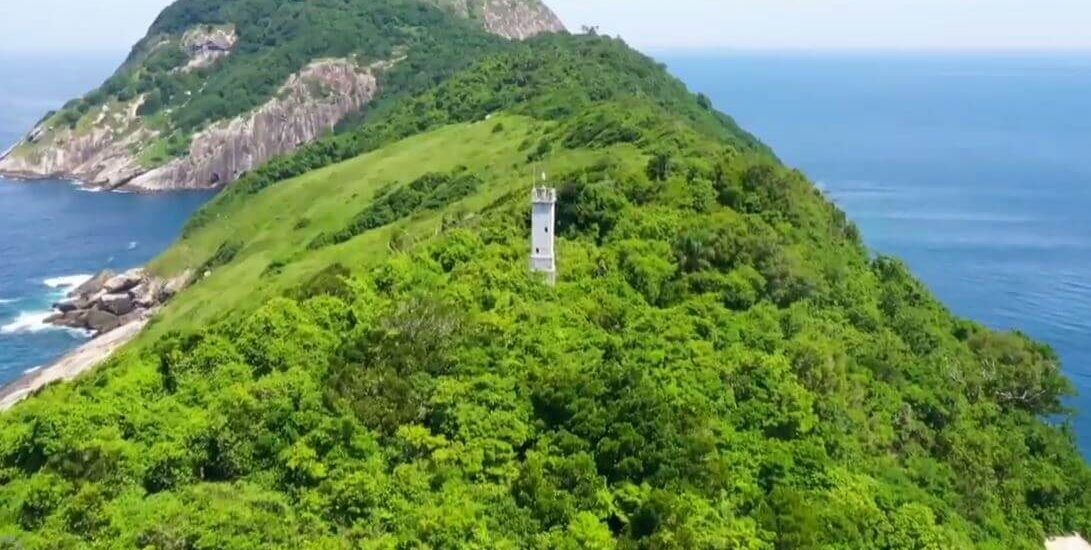 snake island brazil