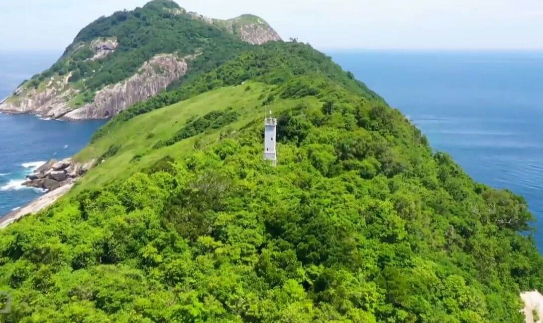 snake island brazil