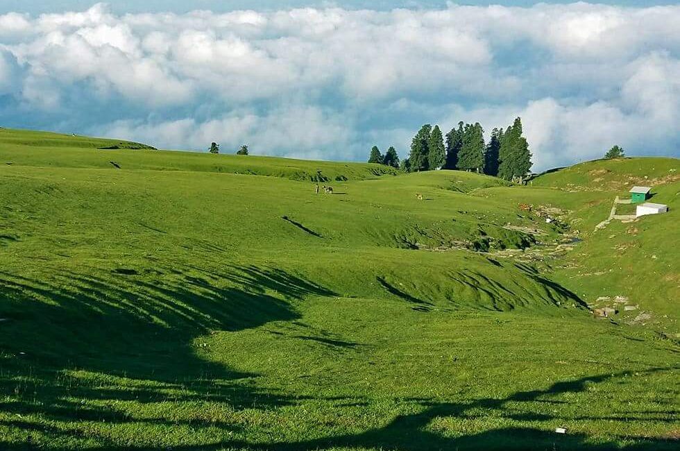 things to do-in toli peer