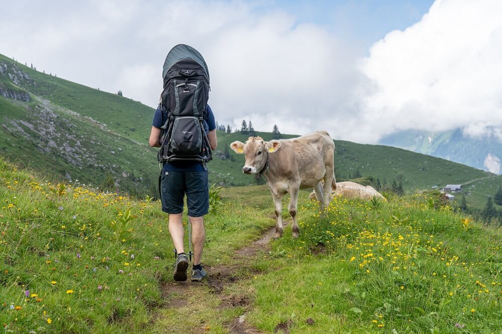 things to do in engelberg switzerland